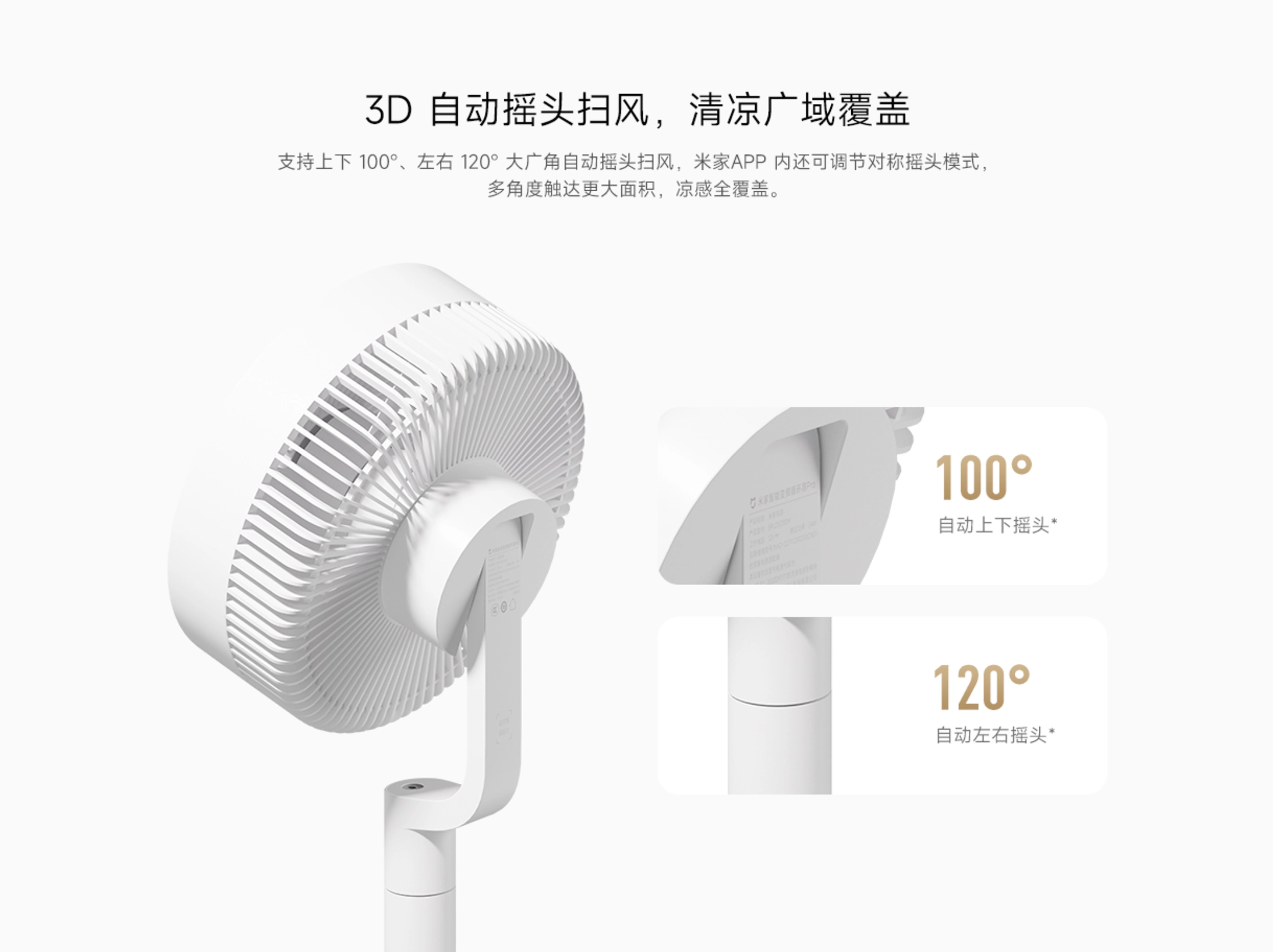 细节图
