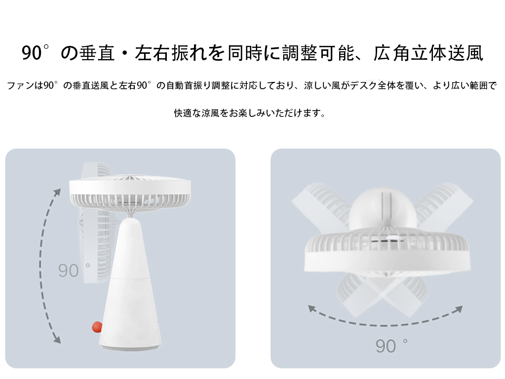 詳細画像