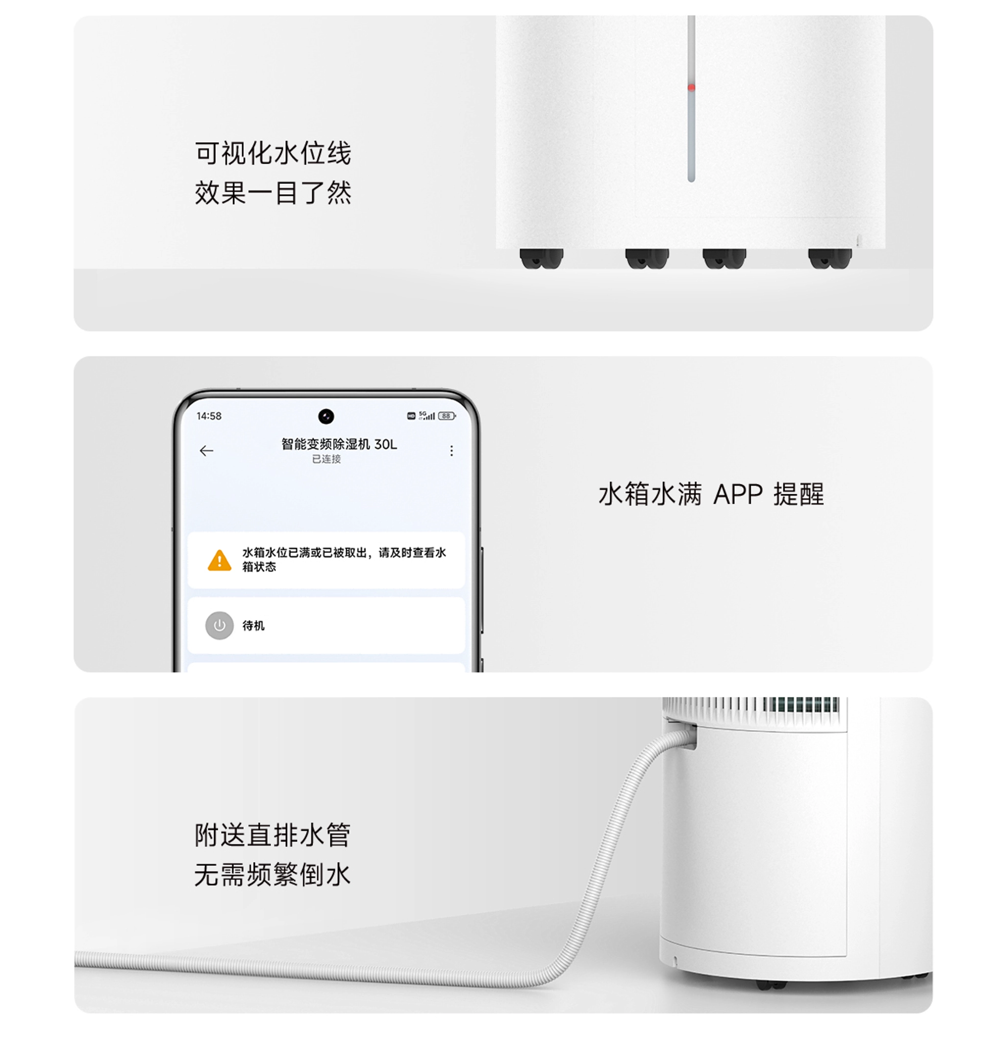 细节图