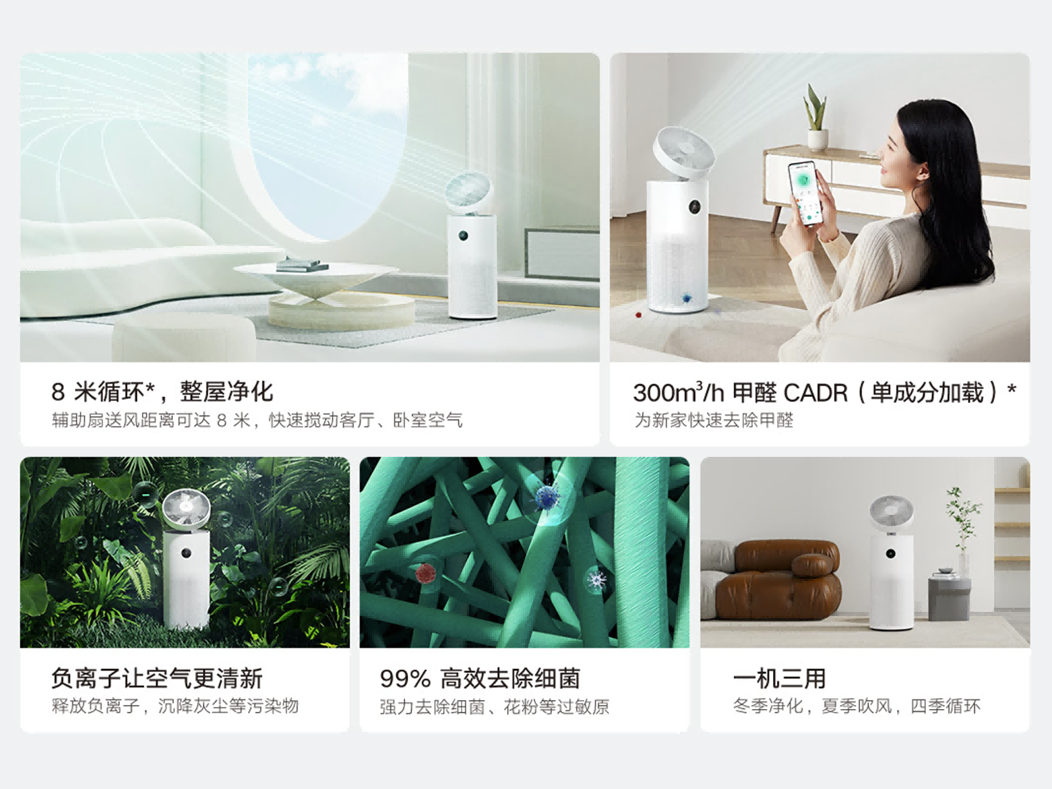 细节图